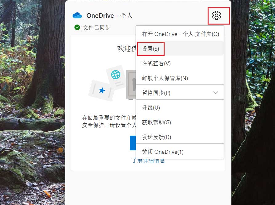 Win11自动锁定OneDrive个人保管库的方法