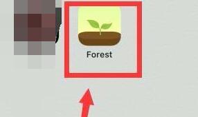forest怎么一个人种树