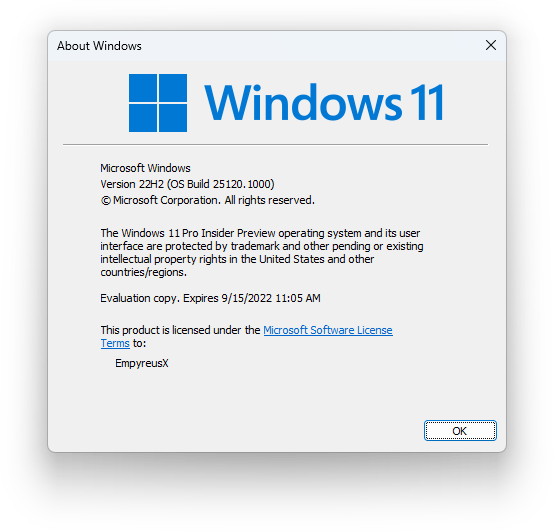  Windows 11 InsiderPreview (10.0.251