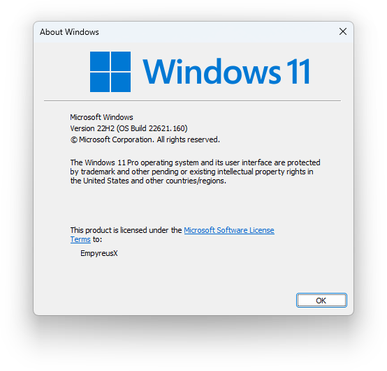 微软Windows 11 Insider Preview (2262