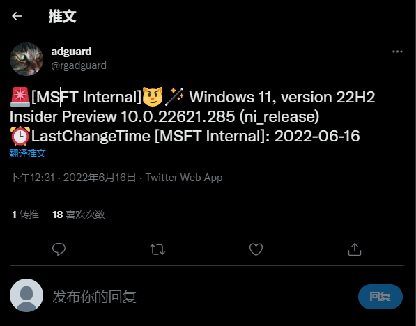 微软Win11 Insider Preview 22621.285 