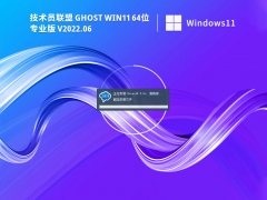 技术员联盟 Ghost Win11 64位 专业稳定版 V2022.06