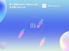 萝卜家园 Ghost Win11 64位 精简专业版 V2022.06
