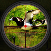 鸭子狩猎野生射击模拟