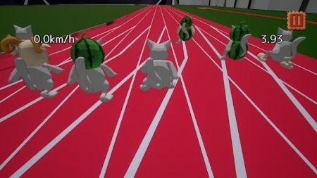 小猫短跑比赛 100