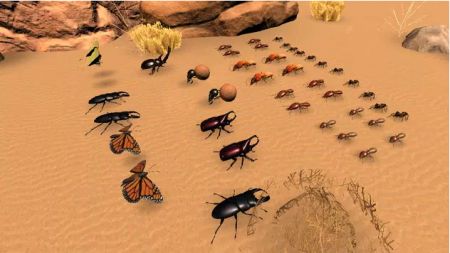 昆虫战斗模拟器2   2
