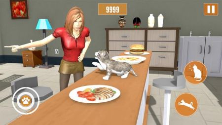 虚拟宠物猫模拟器截图3