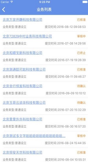 北京企业登记e窗通安卓版截图2